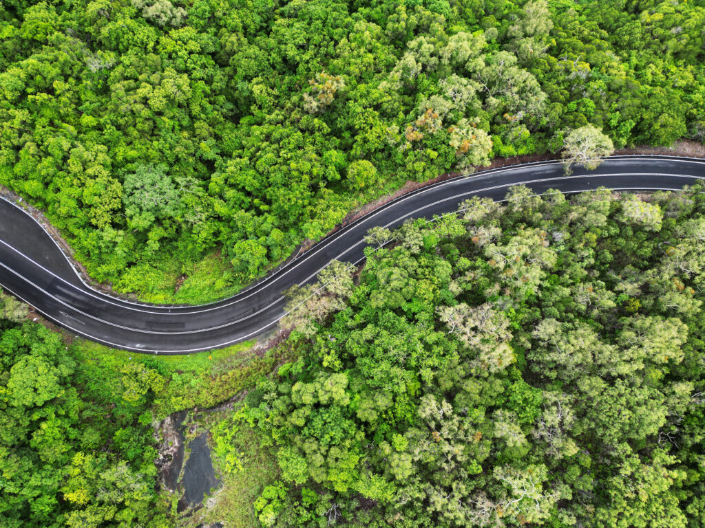 road winding through green forest